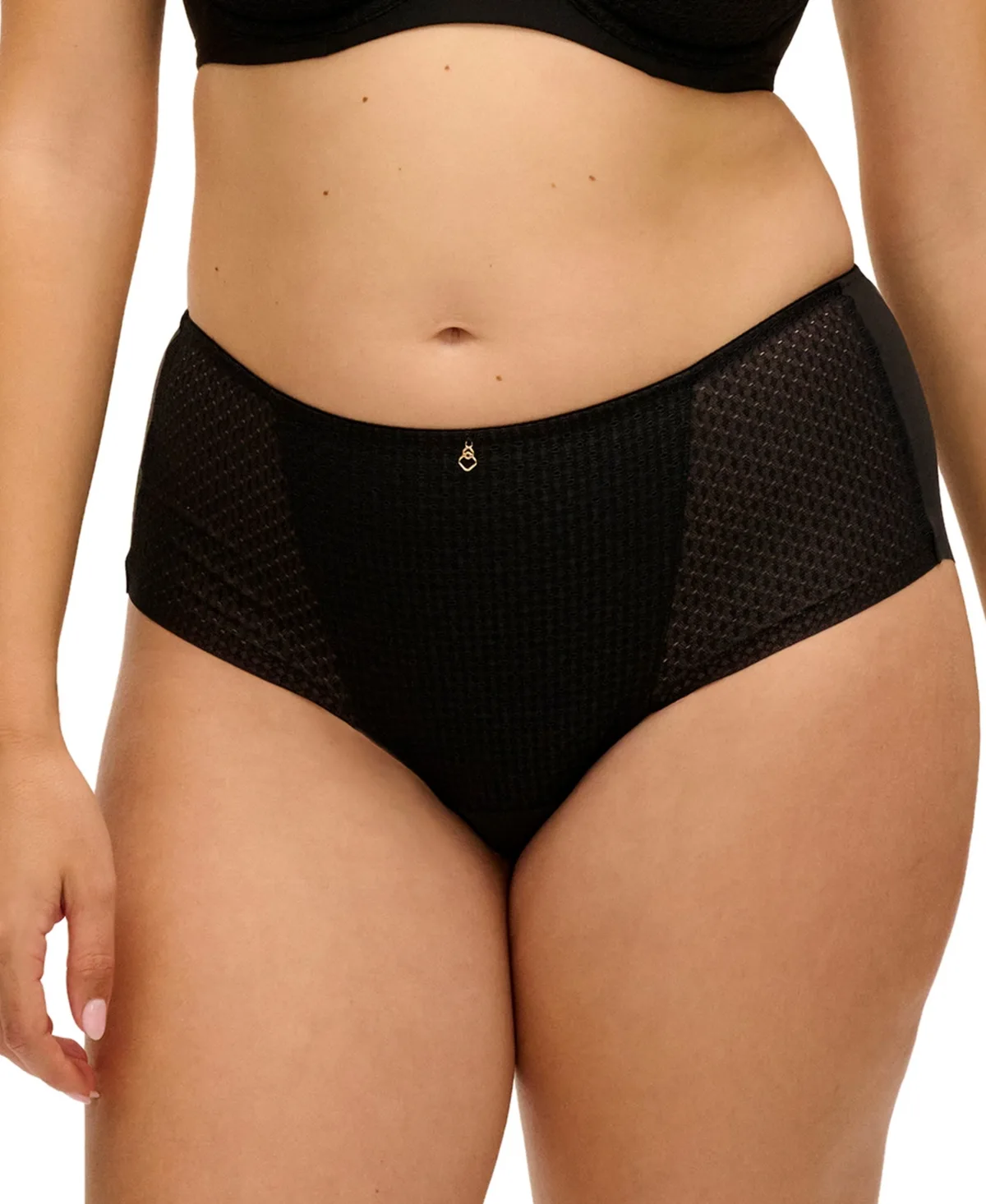 Evolution Comfort High-Waisted Full-Coverage Brief Panty