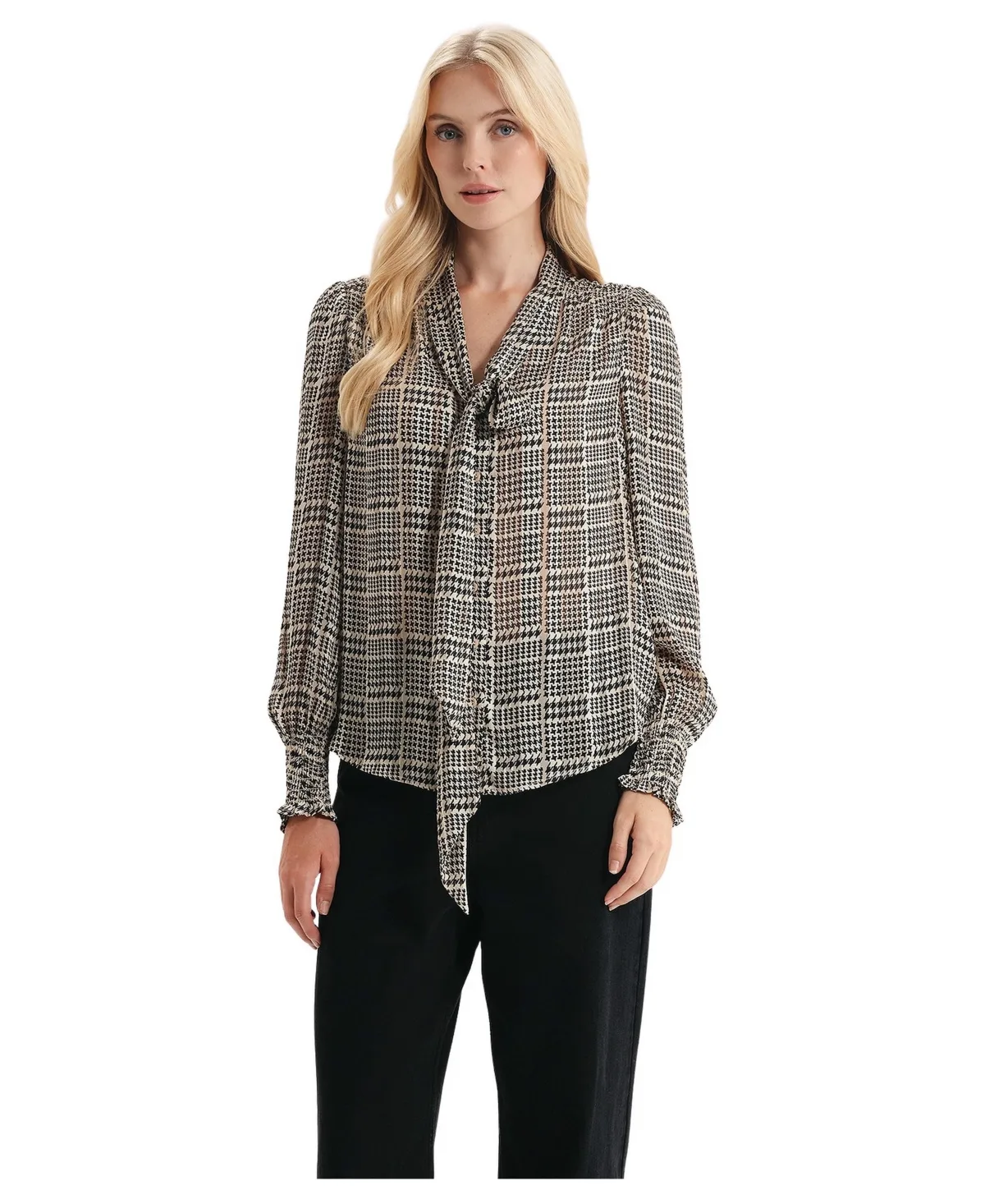 Mavis Chiffon Long Sleeve Tie Neck Blouse