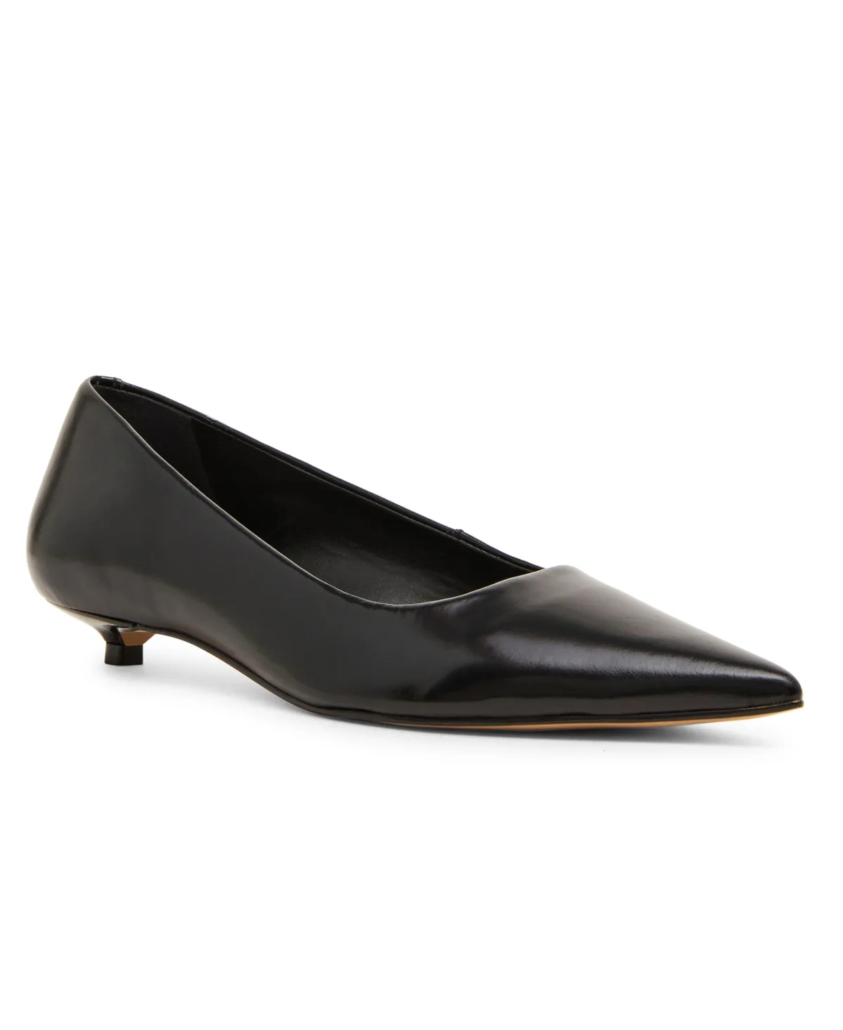 Ardyn Pointed Toe Kitten Heel Leather Pumps by Steve Madden
