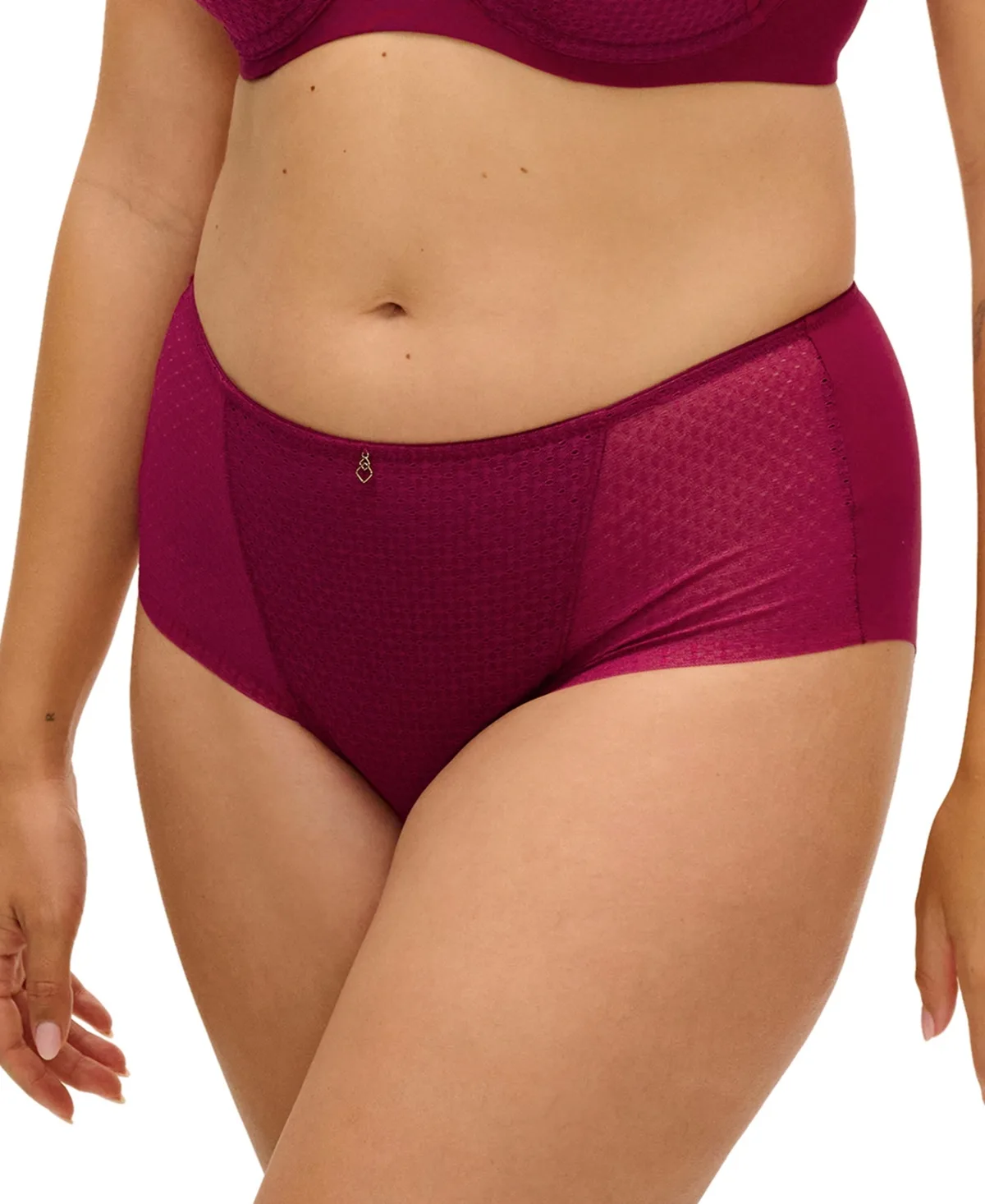 Evolution Comfort High-Waisted Full-Coverage Brief Panty