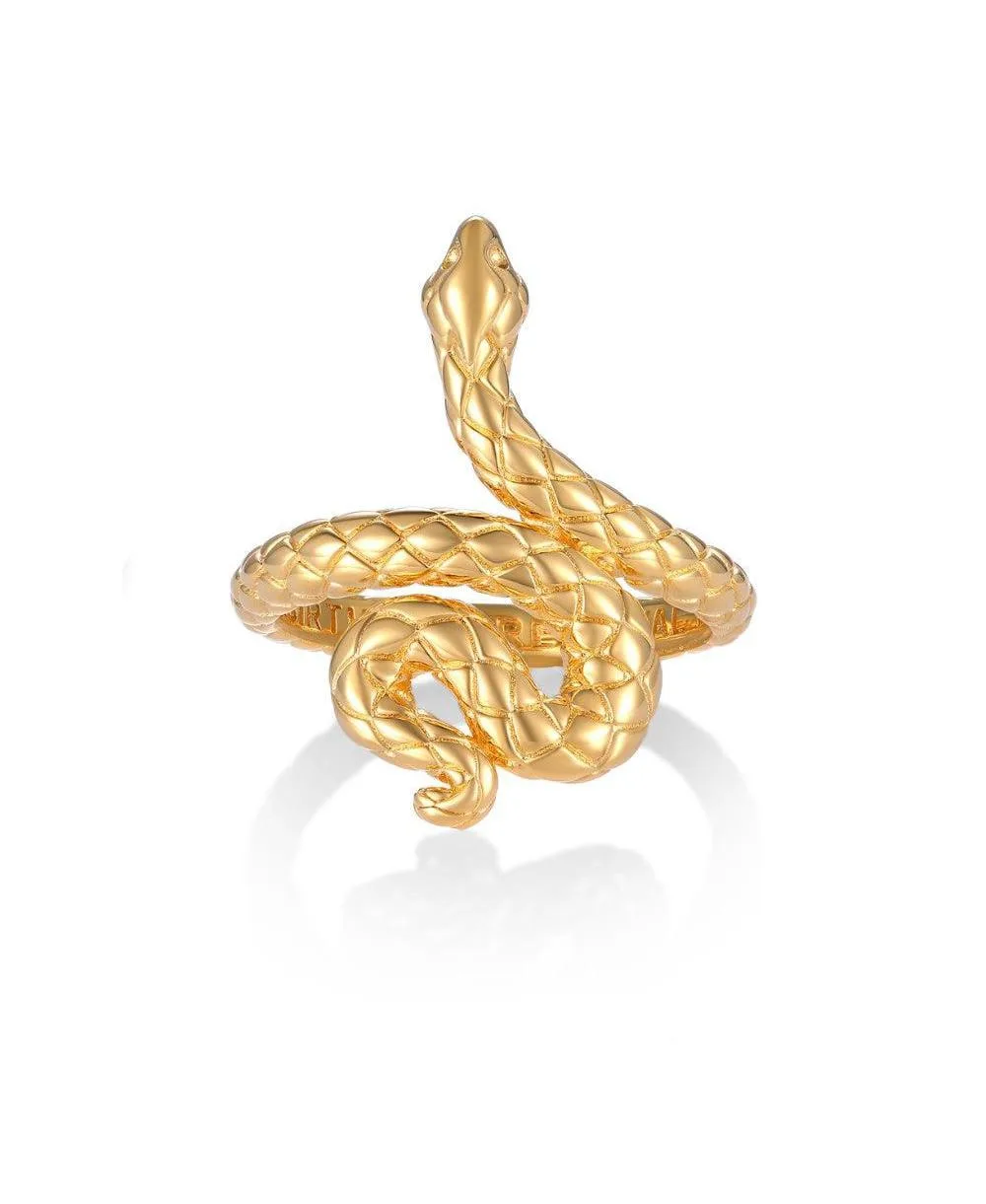 Rebirth and Renewal Snake Ring by Mantra