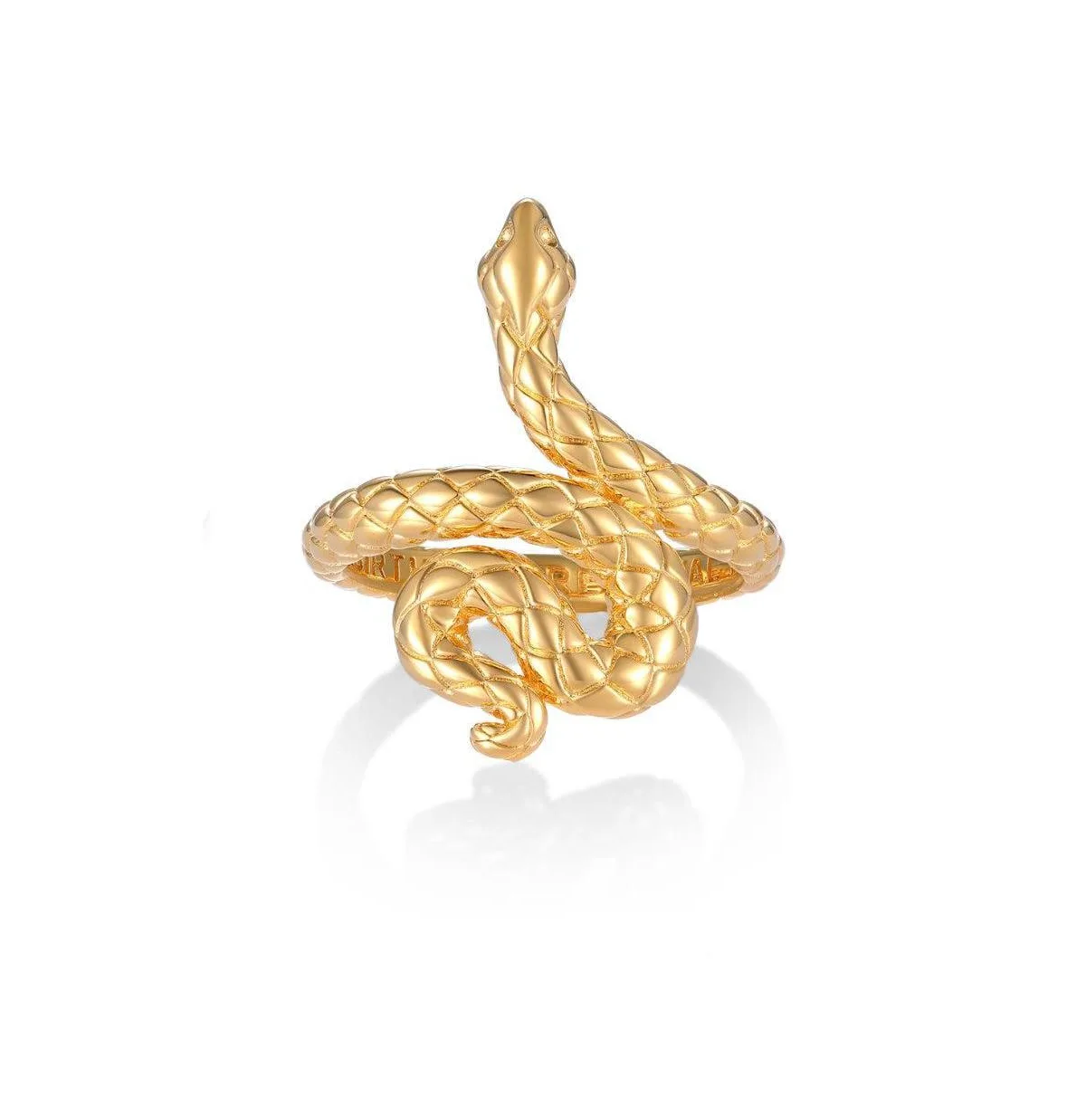 Rebirth and Renewal Snake Ring by Mantra