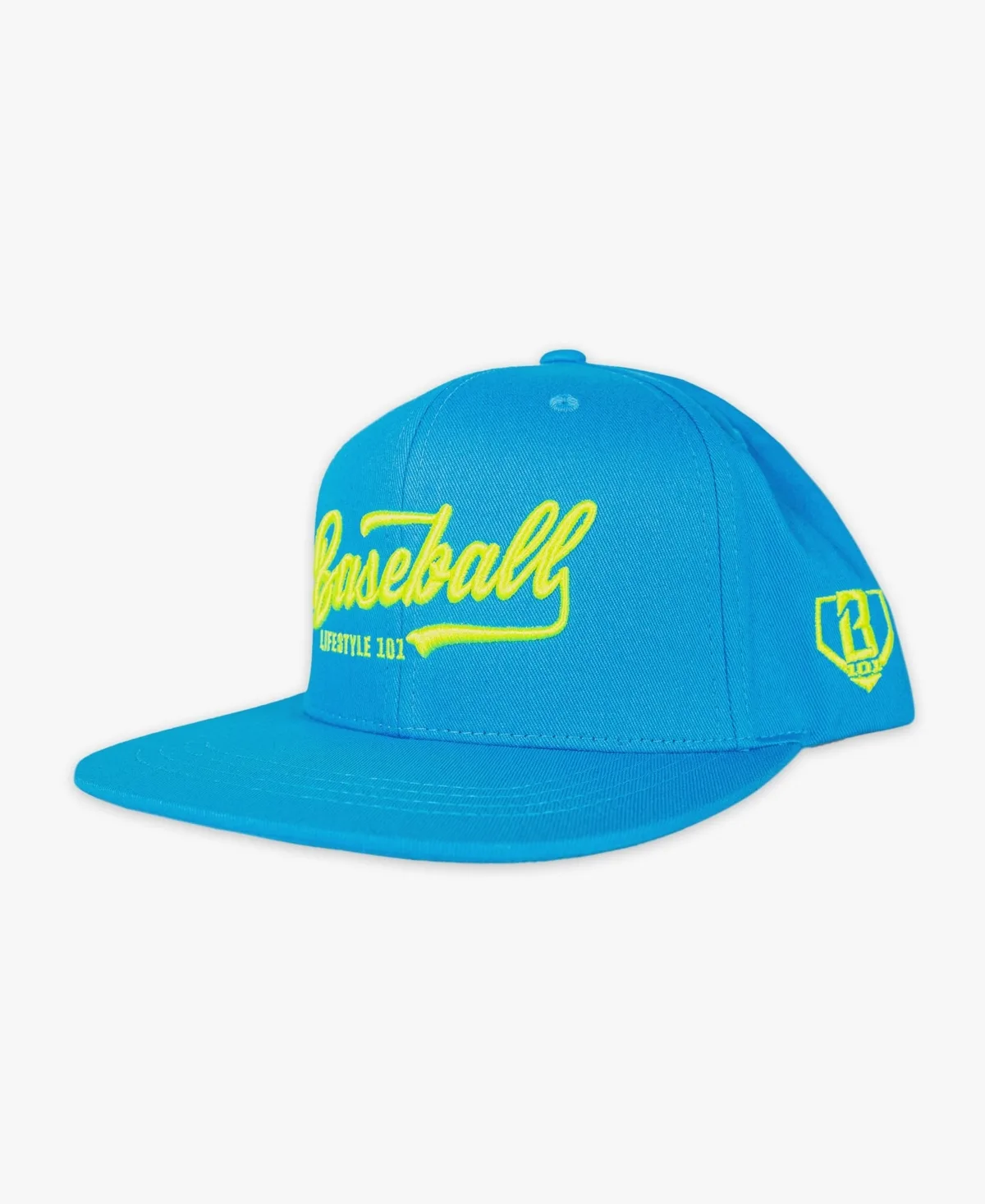 Baseball Lifestyle 101 Established Adjustable Hat by Baseball Lifestyle 101