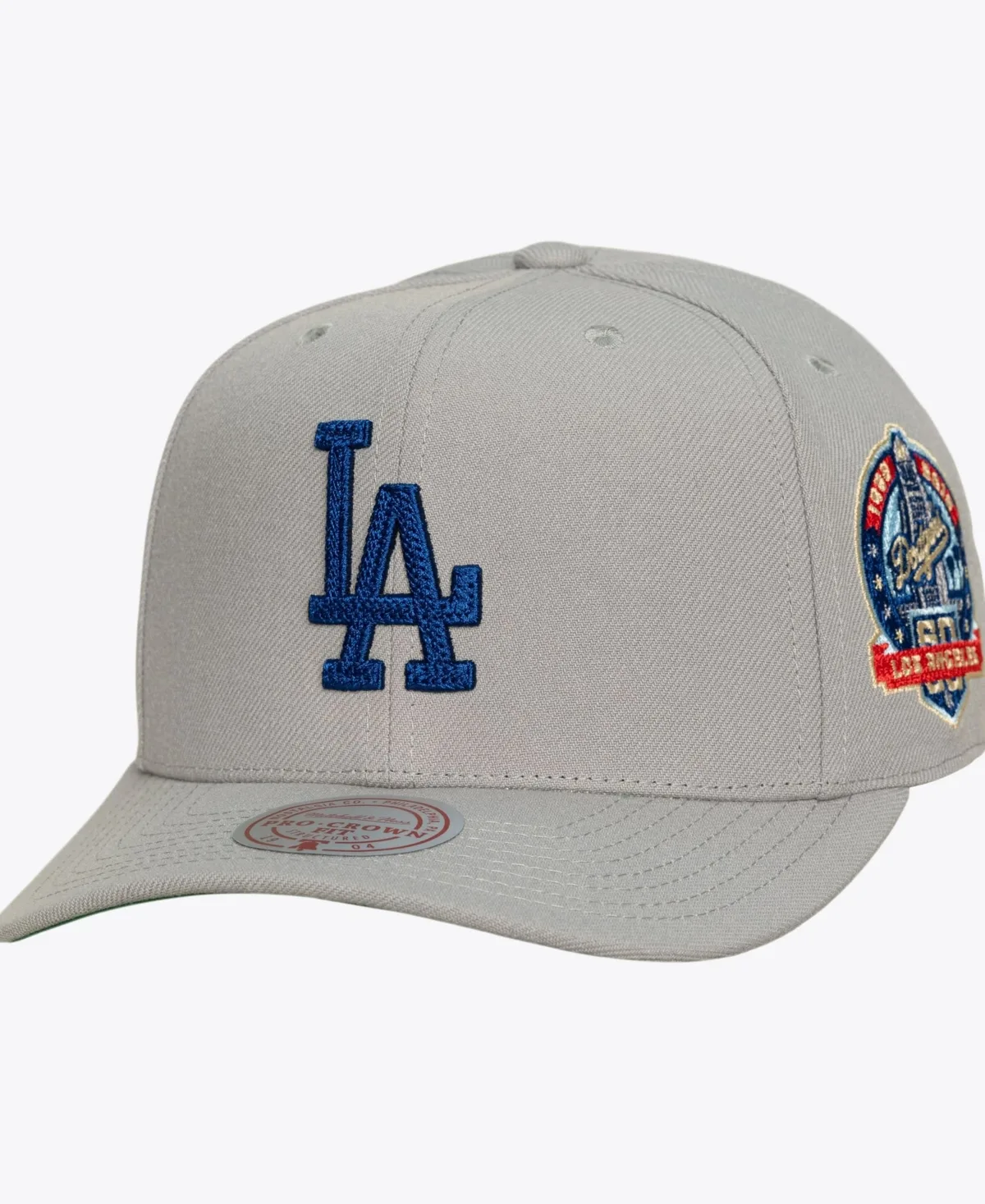 Los Angeles Dodgers Secondary Pro Snapback Hat by Mitchell & Ness