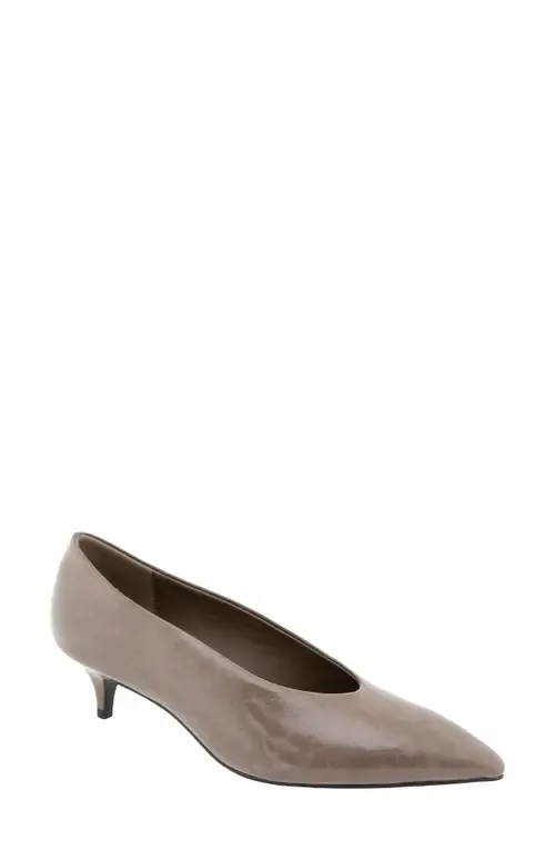 Pacsin Pointed Toe Kitten Heel Pump by bcbg