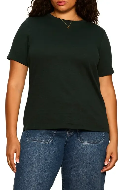 Icon Cotton T-Shirt by Sanctuary