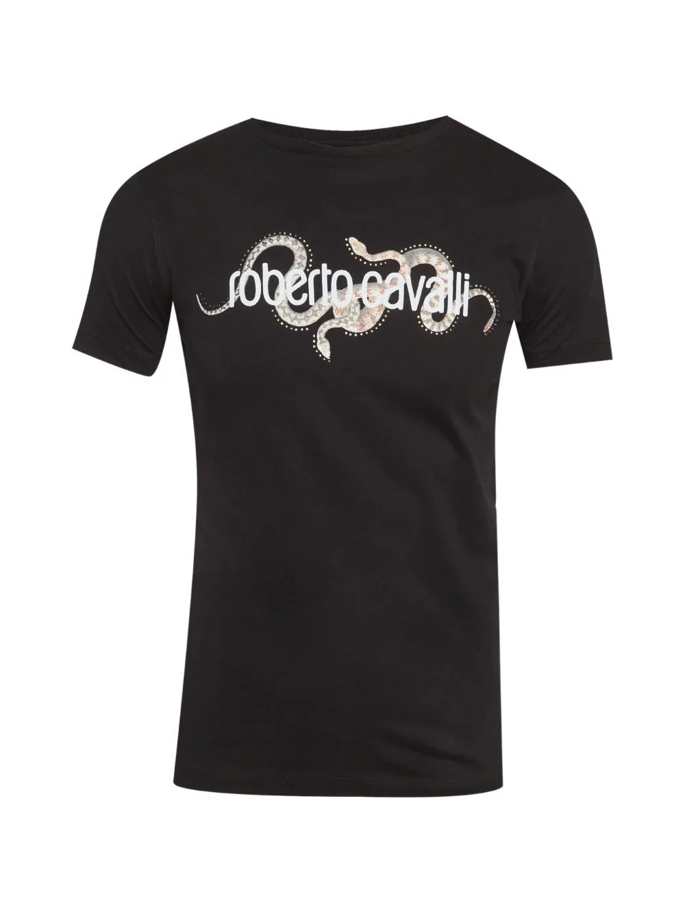 Snake Graphic T-Shirt by Roberto Cavalli Vintage