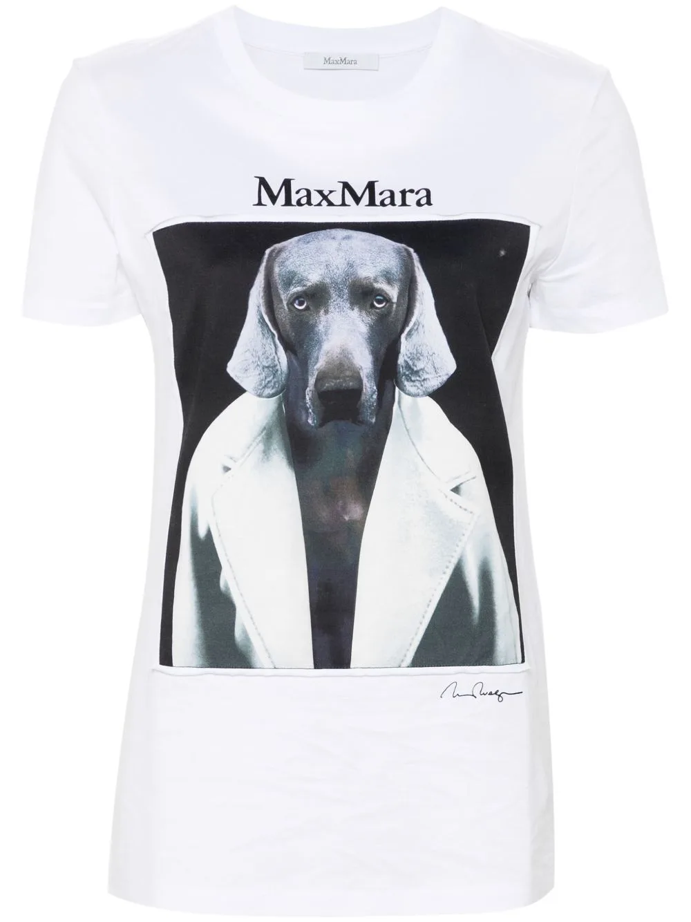 Cipria T-Shirt by Max Mara