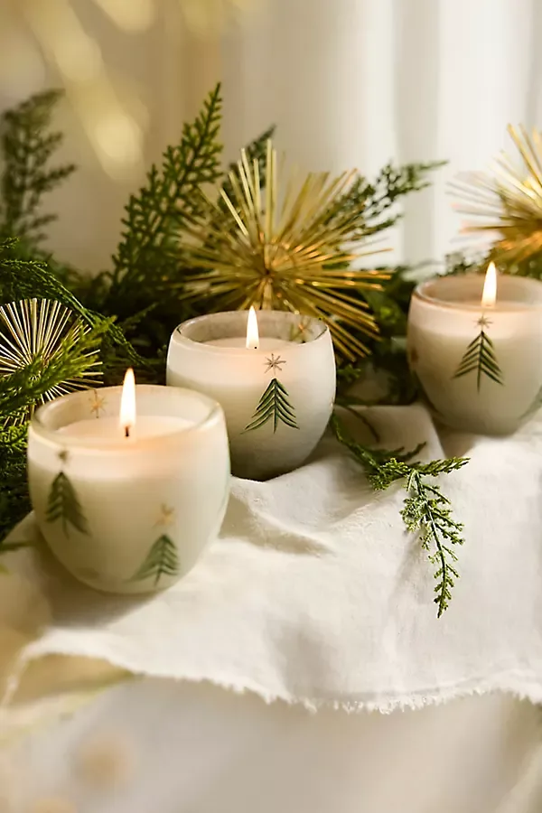 Festive Balsam Cedarwood Glass Candles, Set of 6 by Terrain
