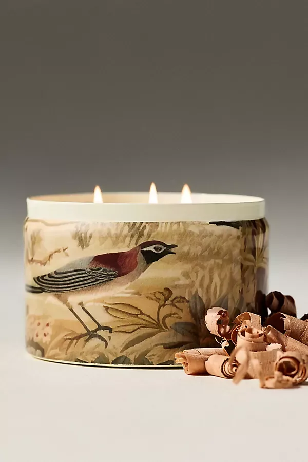 Francios Tapestry Woody White Pine & Cashmere Tinned Candle by Anthropologie
