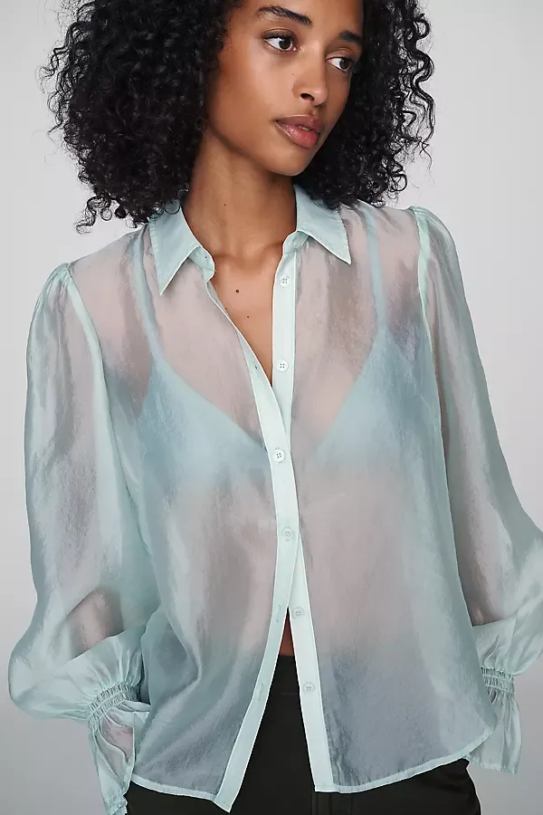 Sheer Bishop Sleeve Blouse by Anthropologie