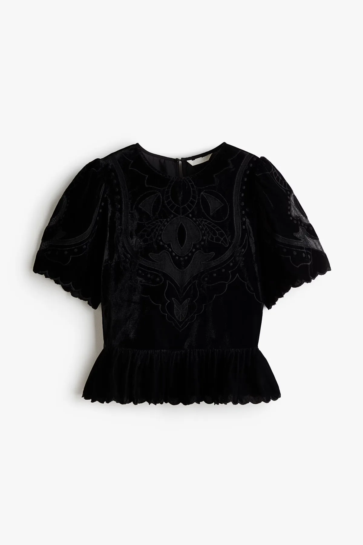 Embroidered Velvet Top by H&M