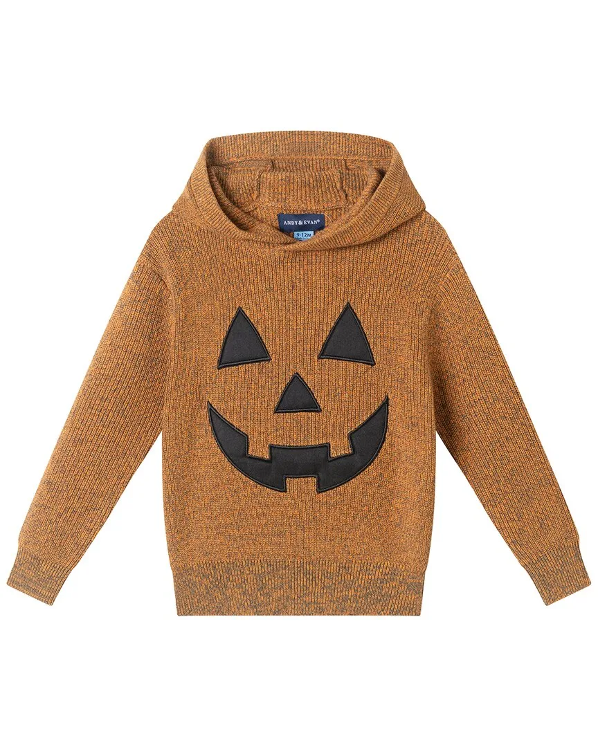 Hooded Sweater by Andy & Evan
