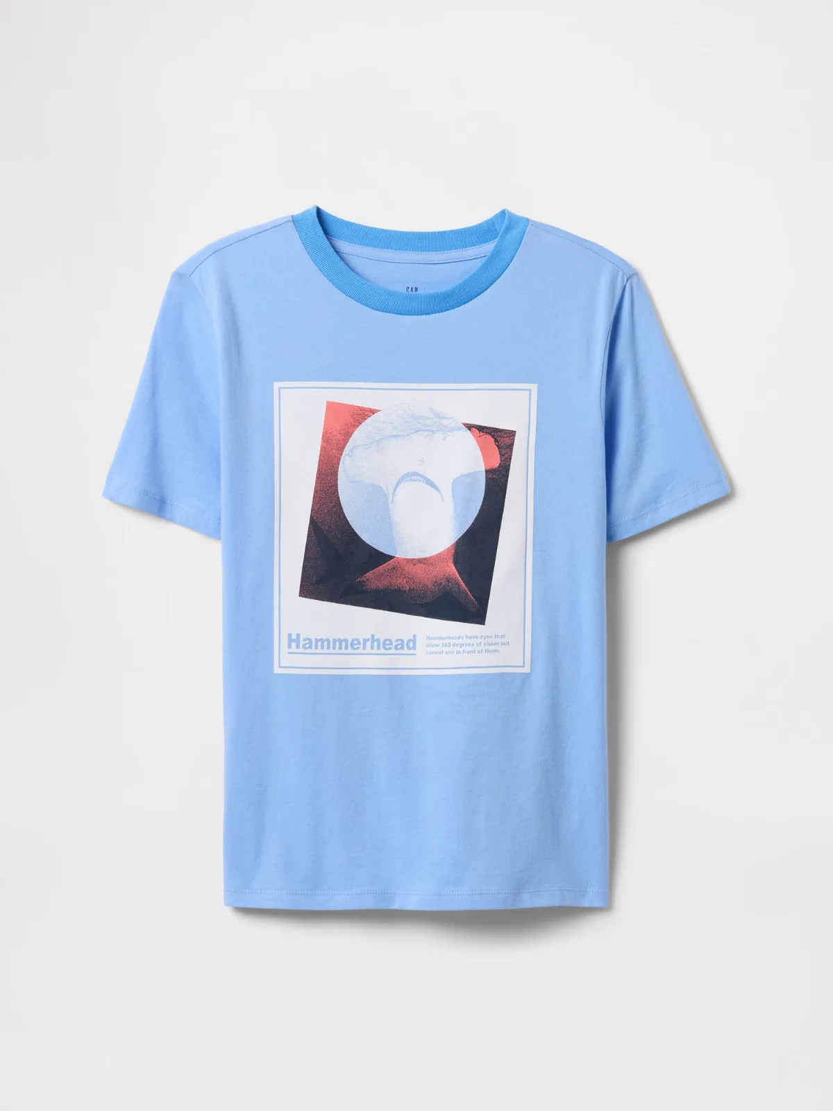 Graphic T-Shirt by Gap