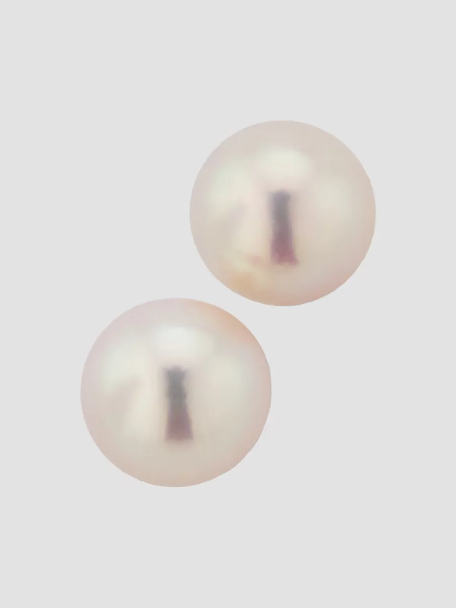 18K Yellow Gold & Akoya Pearl Stud Earrings/9MM