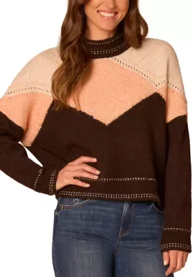 Color Block Turtleneck Sweater by Democracy