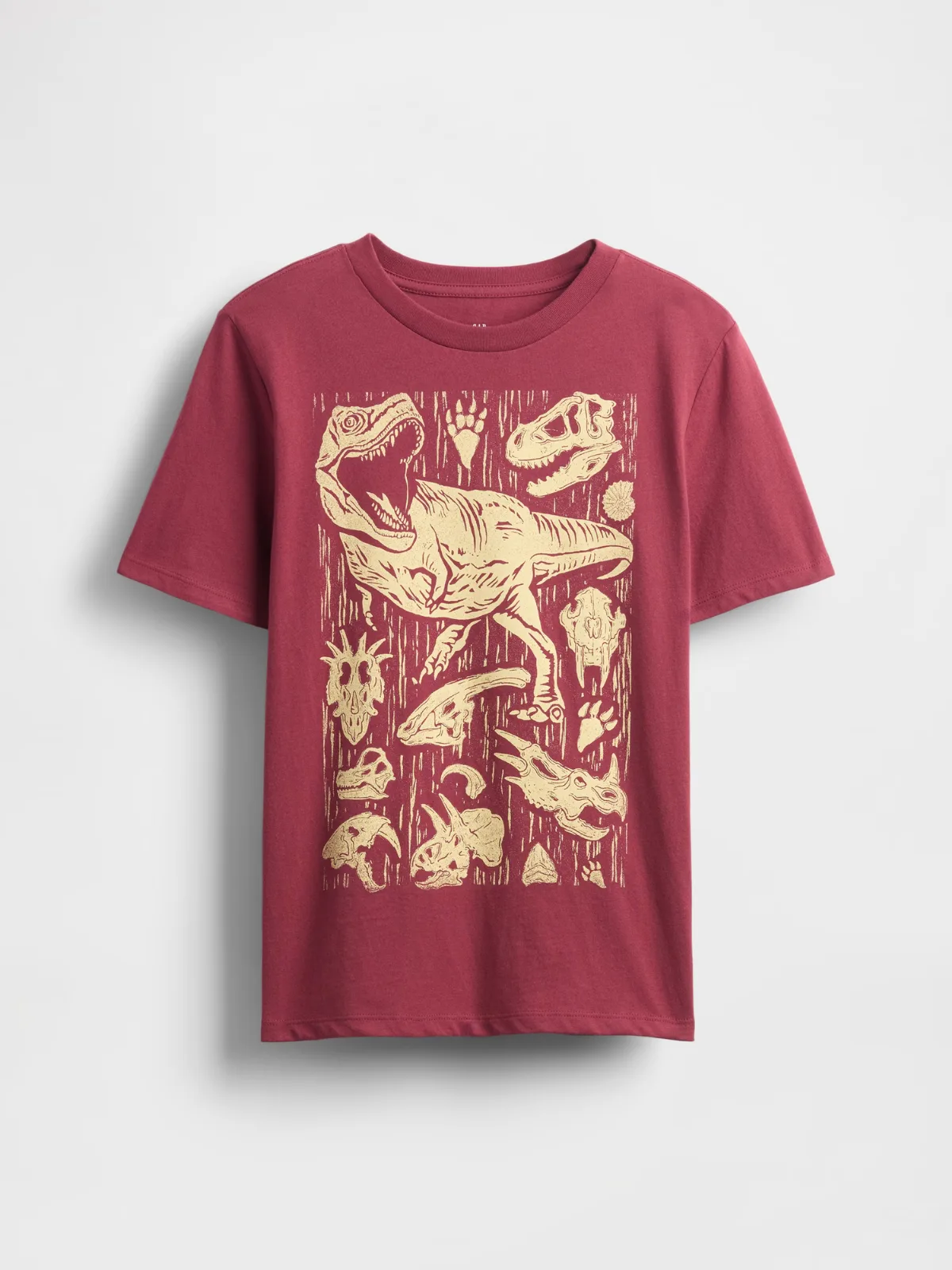 Graphic T-Shirt by Gap