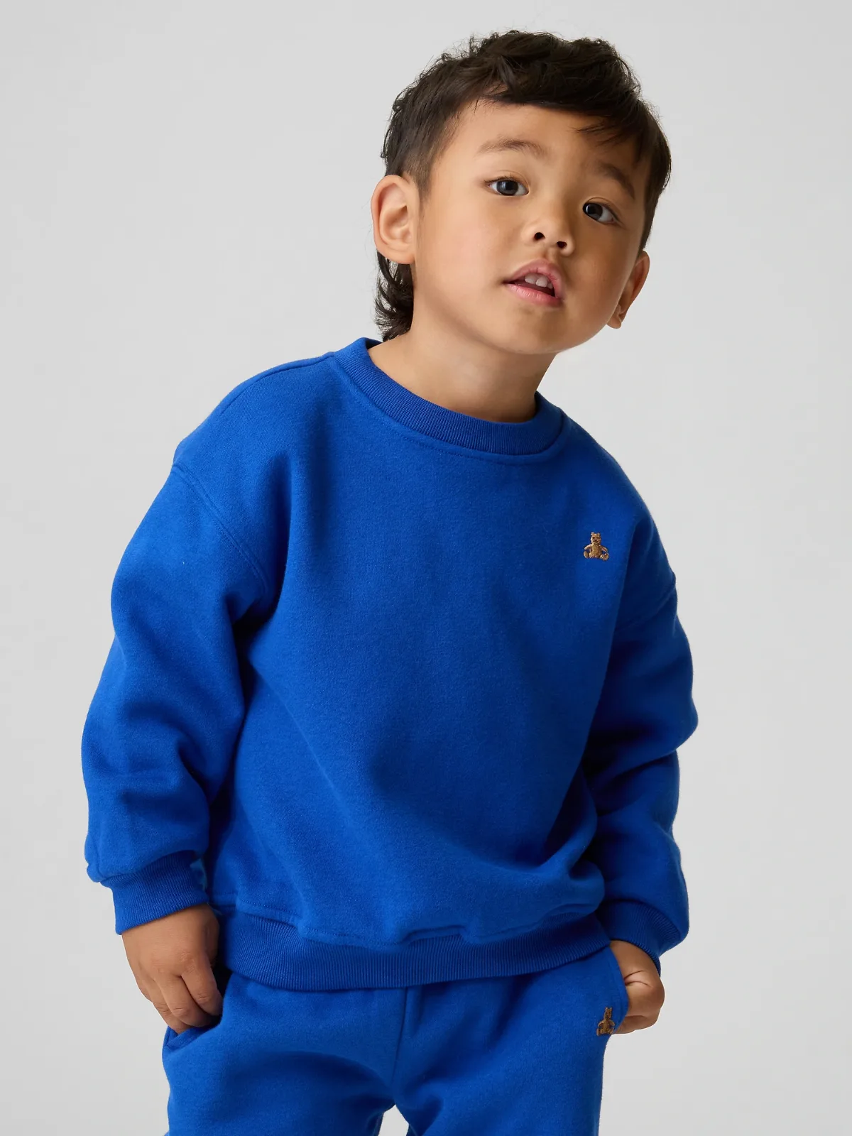 VintageSoft Sweatshirt by Gap