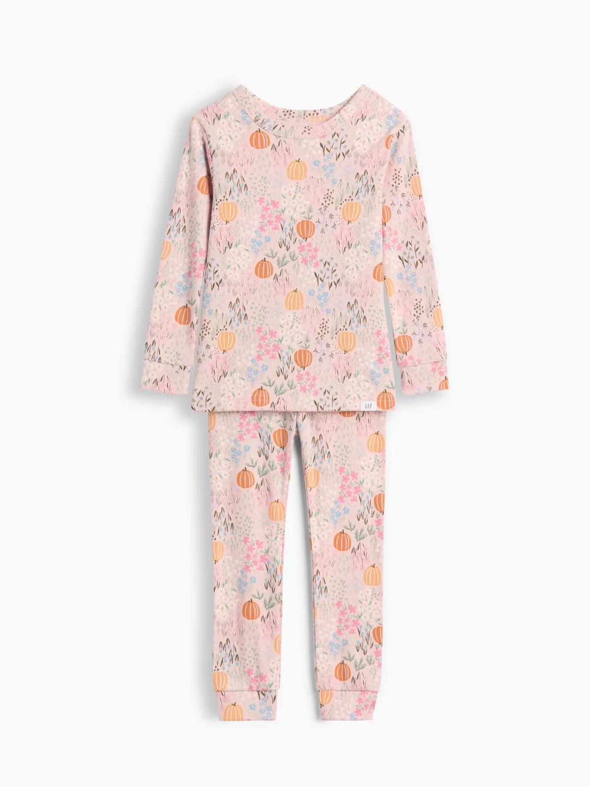 Organic Brushed Cotton Floral Pumpkin PJ Set by Gap