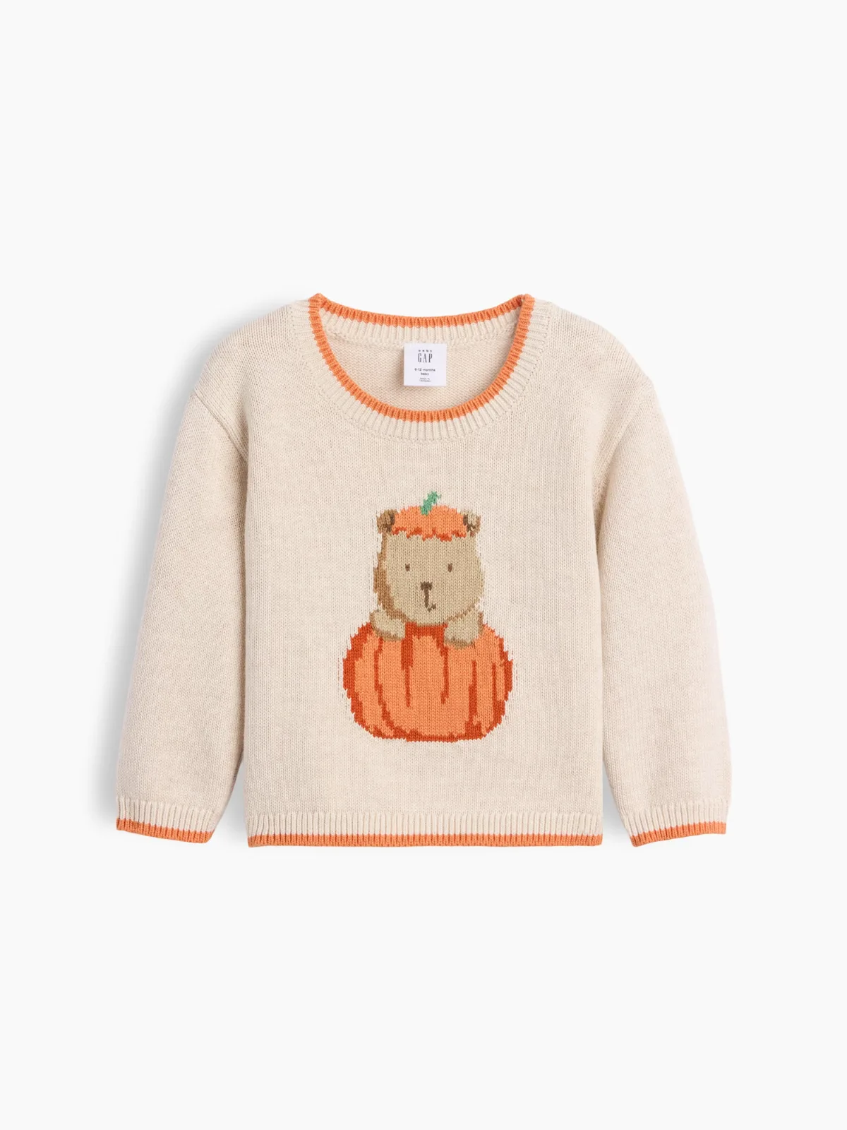 Brannan Bear Pumpkin Sweater by Gap
