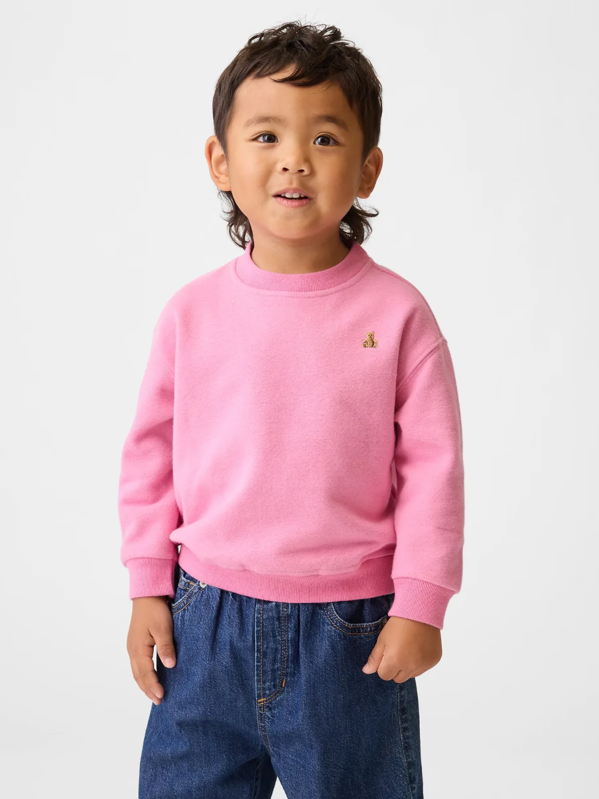 VintageSoft Sweatshirt by Gap