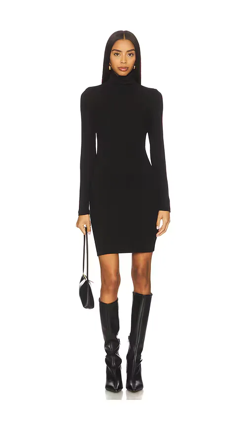 Turtleneck Mini Dress by Bobi