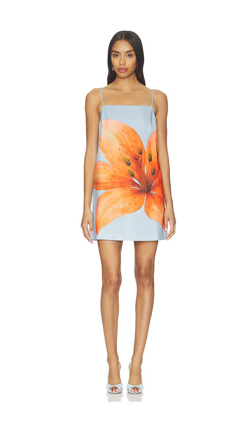 Avah Mini Dress by Line & Dot