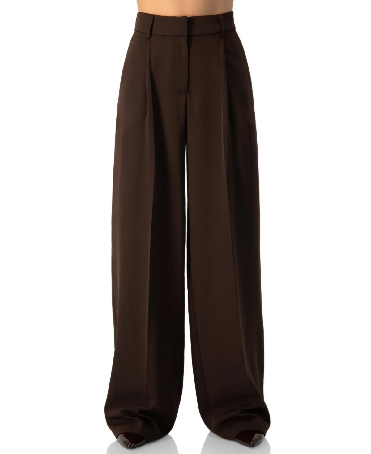 High-Rise Pleated Wide-Leg Trousers