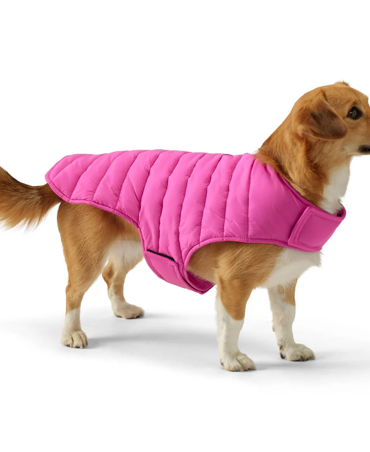 Dog Coat Wanderweight Jacket by Lands' End