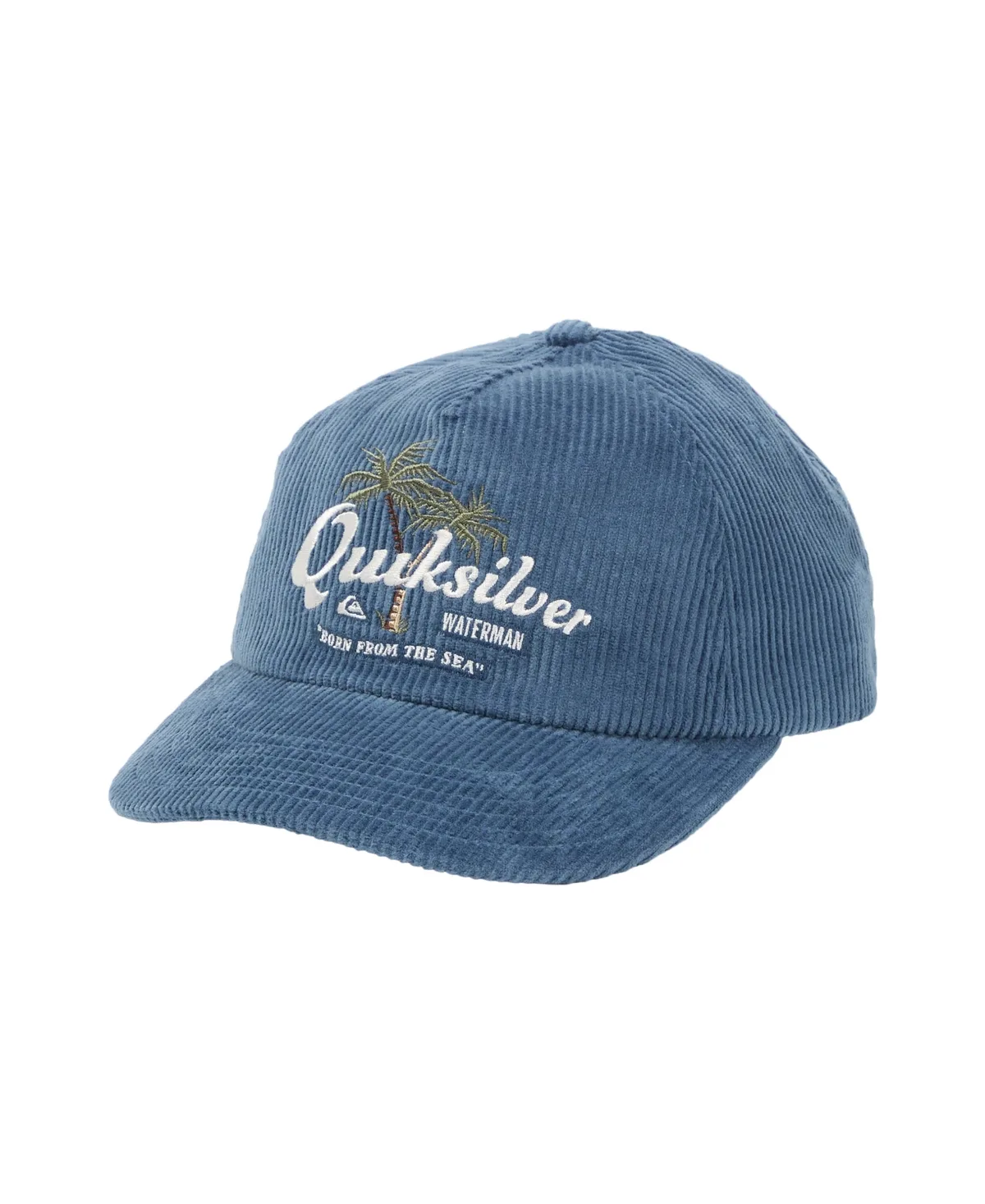 Waterman Curved Brim Hat by Quiksilver