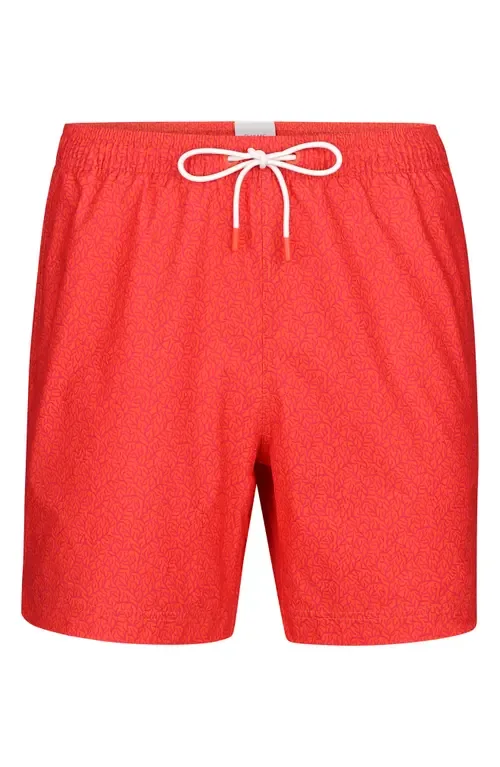 Breeze Swim Shorts by SWIMS