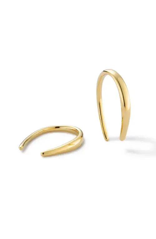 Hook Earrings by Ana Luisa