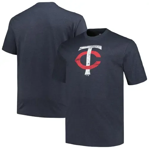 Minnesota Twins Weathered Logo T-Shirt by PROFILE