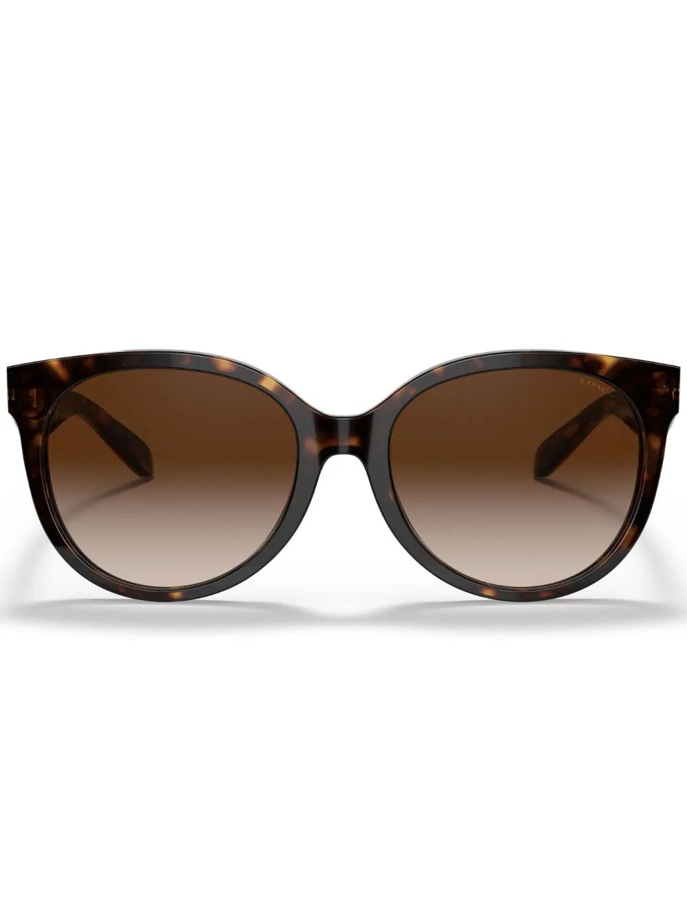 HC8321 C6181 Cat-Eye Sunglasses