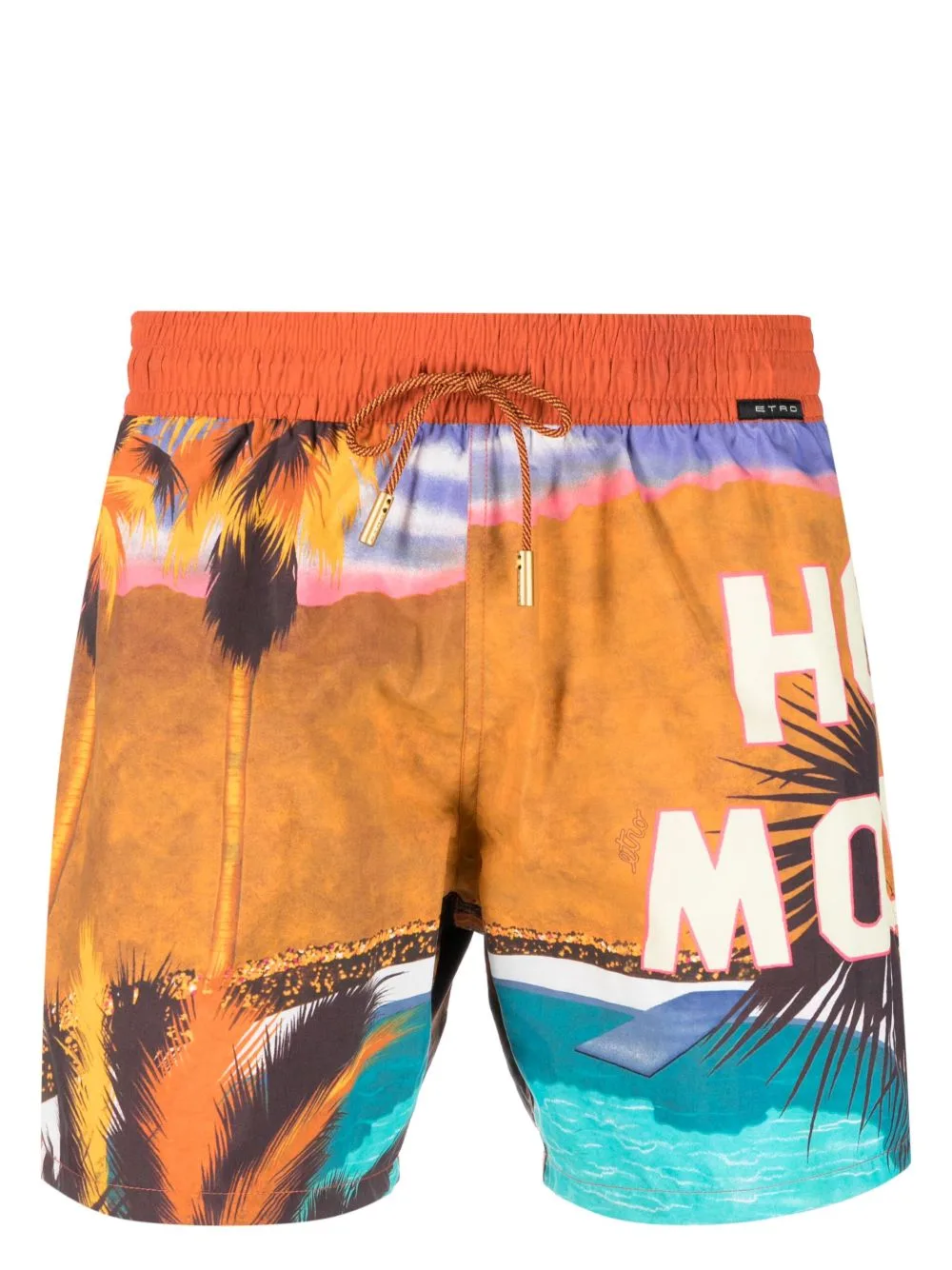 Landscape-Print Swim Shorts