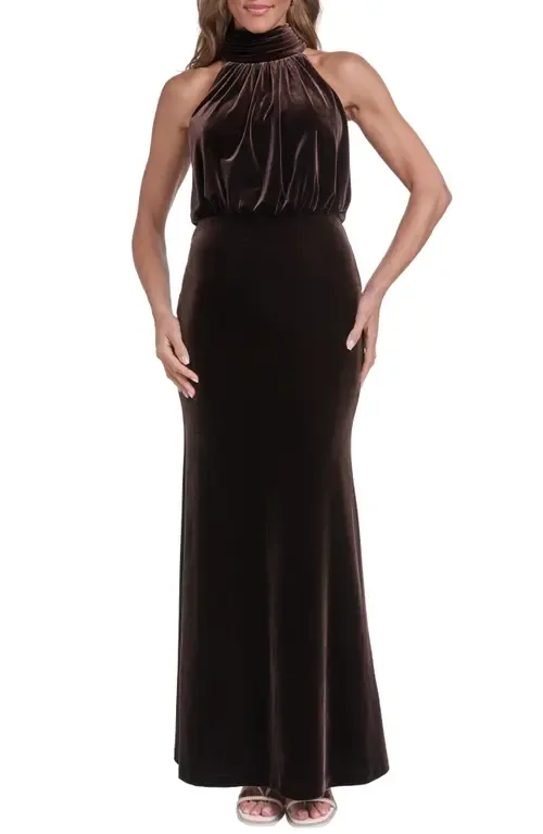 Sleeveless Velvet Gown by Eliza J
