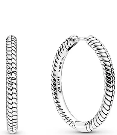 Moments Charm Sterling Silver Hoop Earrings by Pandora