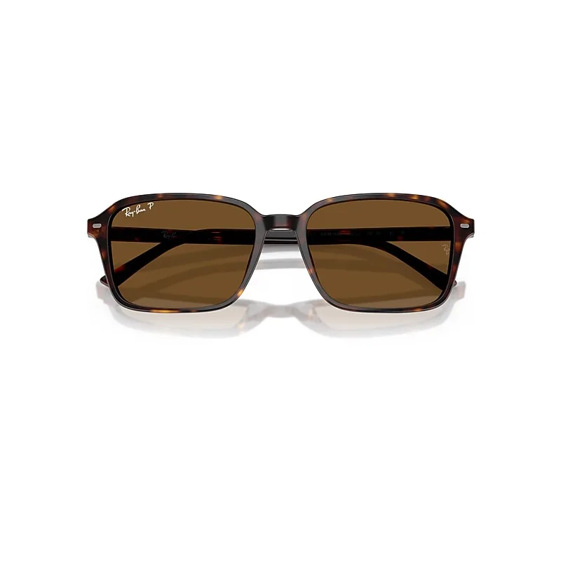 Raimond Sunglasses Brown Lenses Polarized by Ray-Ban