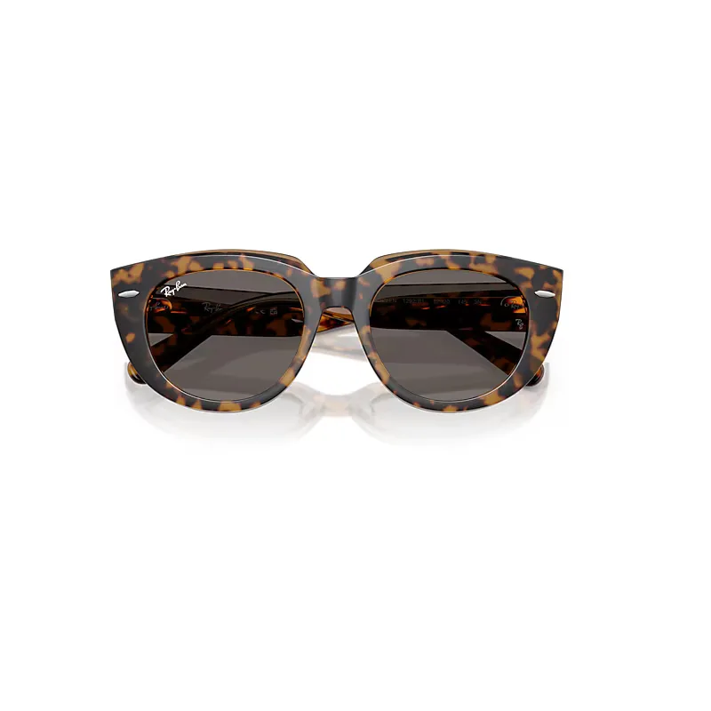 Doreen Sunglasses Havana on Transparent Brown Frame Grey Lenses by Ray-Ban
