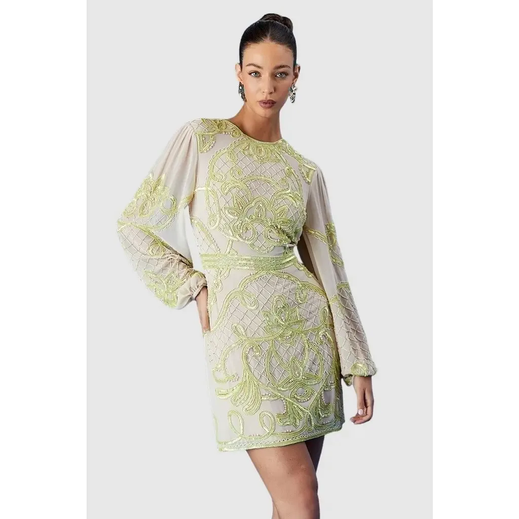Muse Chiffon Embellished Mini Dress by Coast