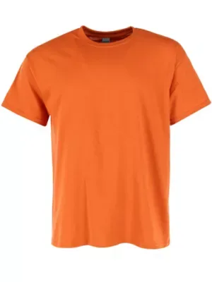 Classic Crew Neck T-Shirt by Gildan