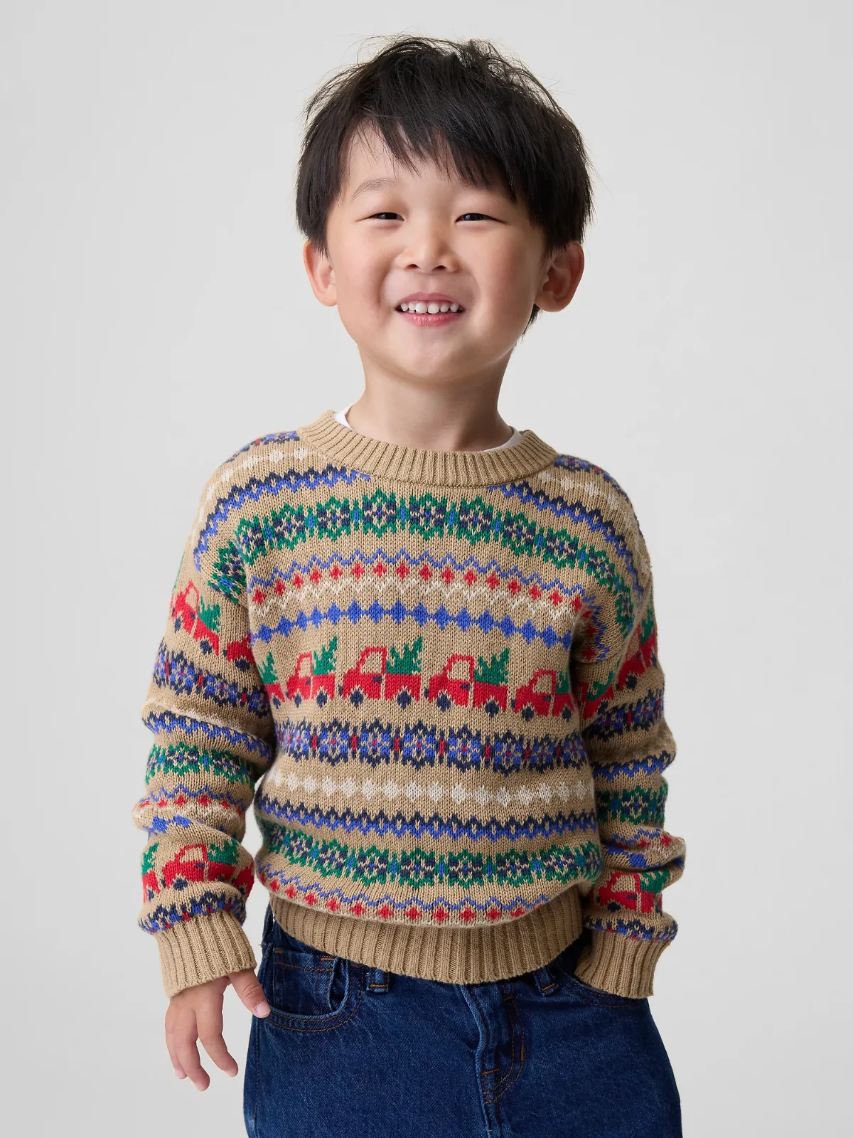 Fair Isle Sweater by Gap