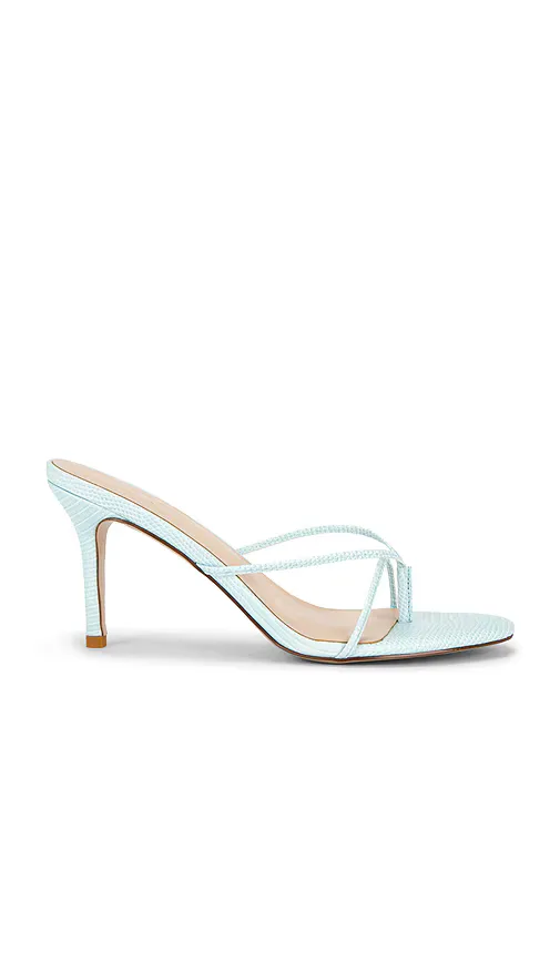 Sicilian Slipper