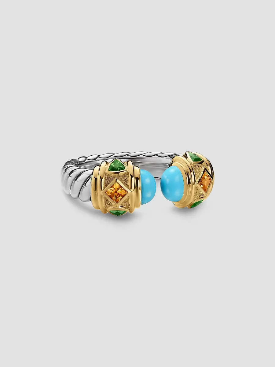 Renaissance Color Ring in Sterling Silver