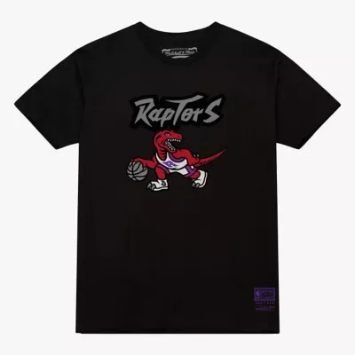NBA Toronto Raptors Hardwood Classics Arch T-Shirt