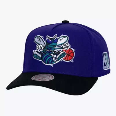 NBA Charlotte Hornets Legendary Home Pro Pinch Snapback Hat