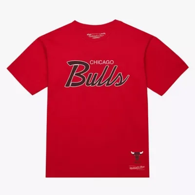 NBA Chicago Bulls Vintage Wordmark T-Shirt by Mitchell & Ness