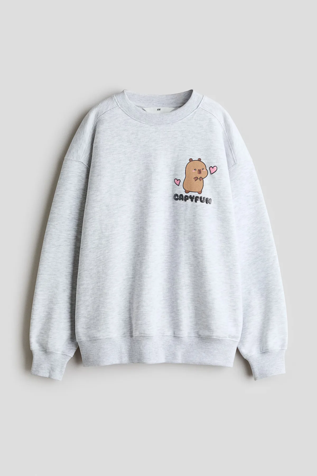 Printed Brushed-Inside Sweatshirt by H&M
