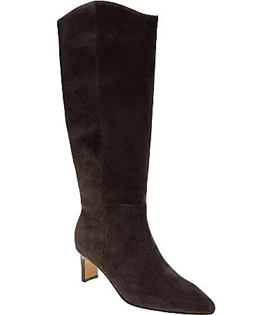 Walma Suede Pointed Toe Tall Boots by Andre Assous