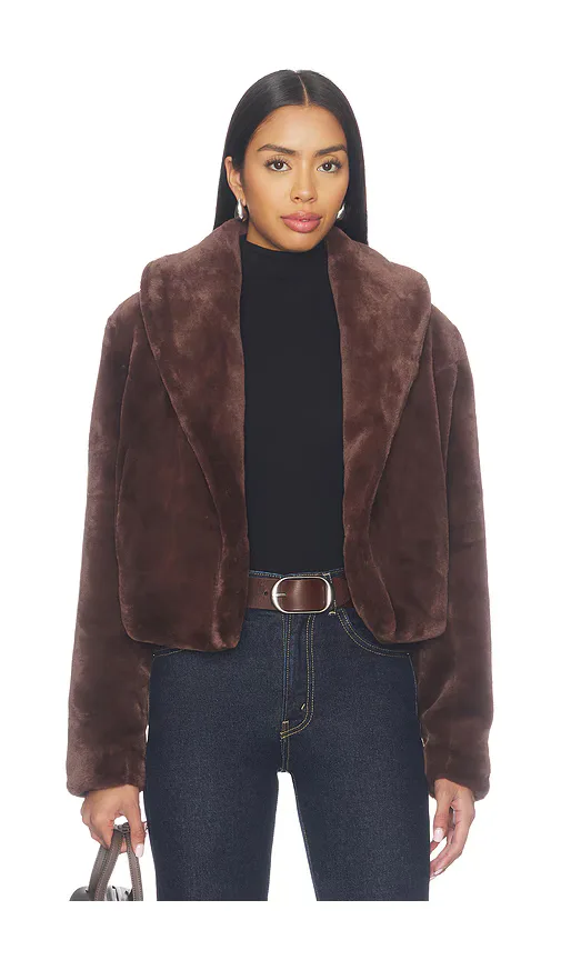 Faux Fur Teddy Coat by BLANKNYC